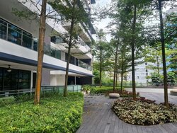 Treasure On Balmoral (D10), Apartment #456251581